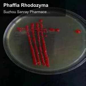 Suzhou Sanray Pharmaceutical Co Ltd sell "Phaffia Rhodozyma"