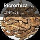 Chemical Resources sell "Picrorhiza Kurroa Extract"