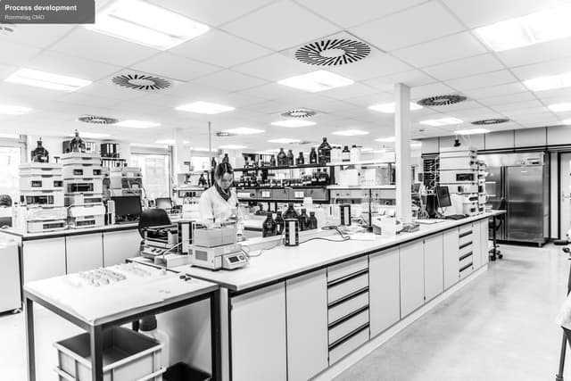 Rommelag CMO sell "Process development"