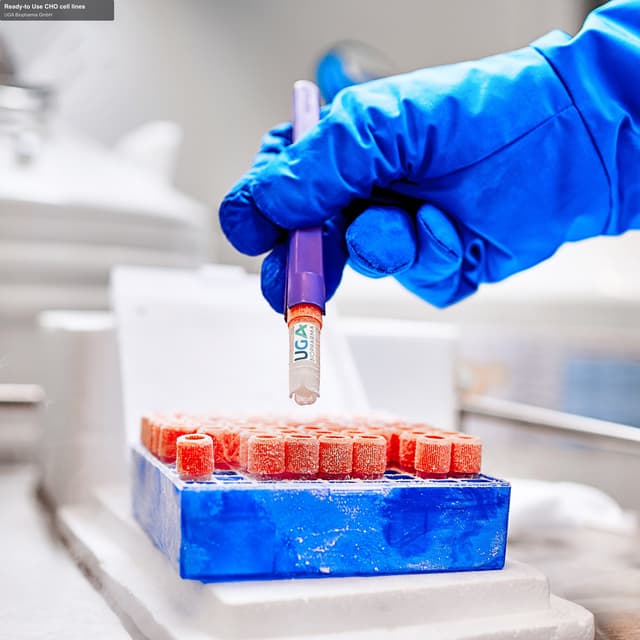UGA Biopharma GmbH sell "Ready-to Use CHO cell lines"