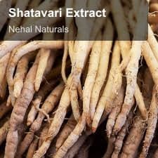 Nehal Naturals sell "Shatavari Extract"