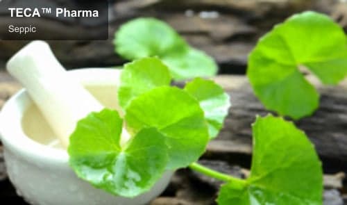 Seppic sell "TECA™ Pharma"