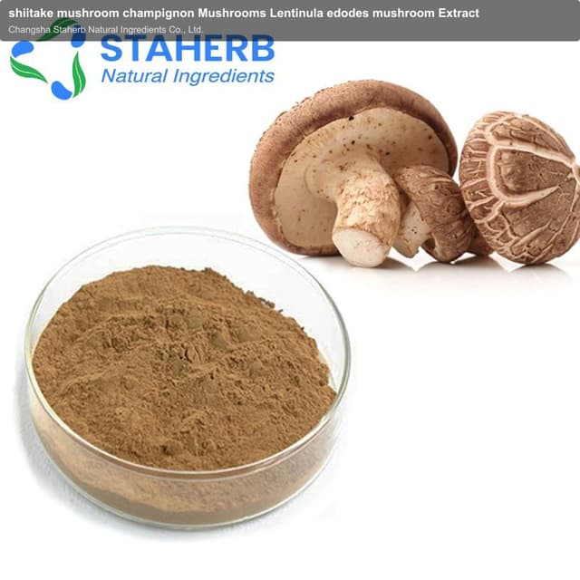 shiitake mushroom champignon Mushrooms Lentinula edodes mushroom Extract