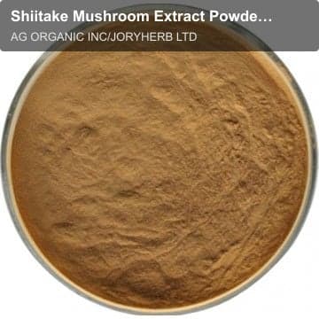 Shiitake Mushroom Extract Powder 10%
