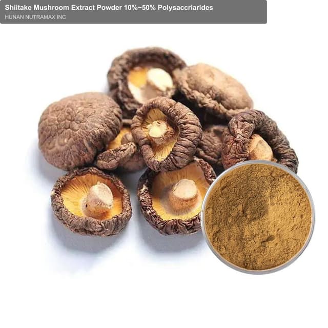 Shiitake Mushroom Extract Powder 10%~50% Polysaccriarides