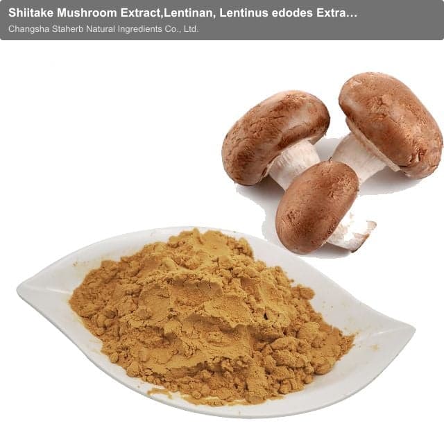 Shiitake Mushroom Extract,Lentinan, Lentinus edodes Extract