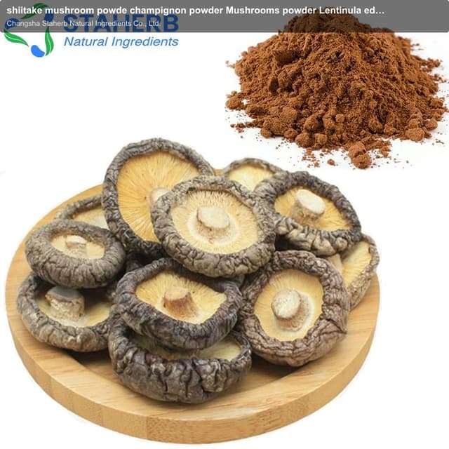 shiitake mushroom powde champignon powder Mushrooms powder Lentinula edodes powder mushroom powder