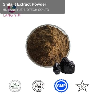 Shilajit Extract Powder