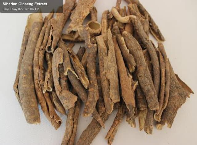 Siberian Ginseng Extract