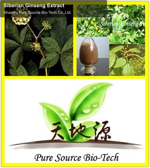 Siberian Ginseng Extract