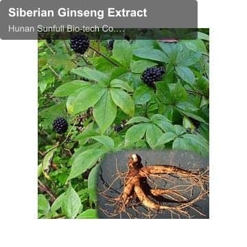 Siberian Ginseng Extract
