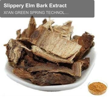 Slippery Elm Bark Extract
