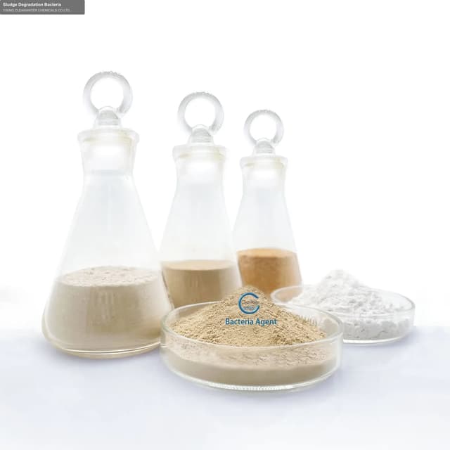 Sludge Degradation Bacteria
