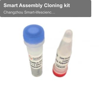 Smart Assembly Cloning kit