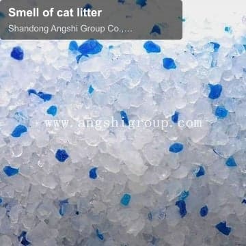 Smell of cat litter