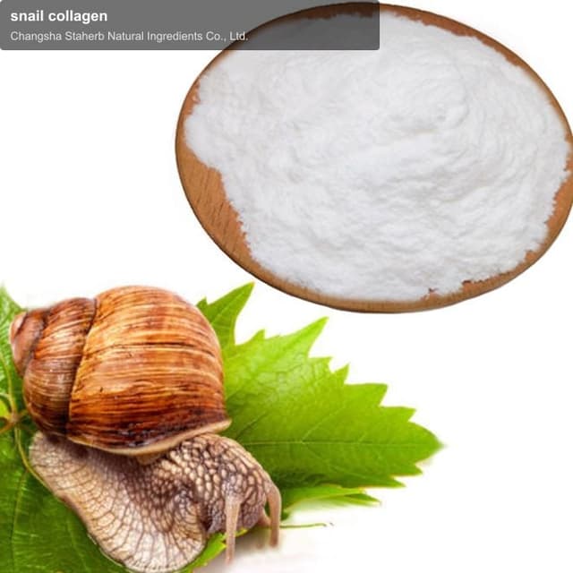 snail collagen