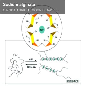 Sodium alginate