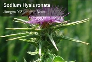 Sodium Hyaluronate