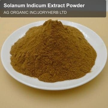 Solanum Indicum Extract Powder