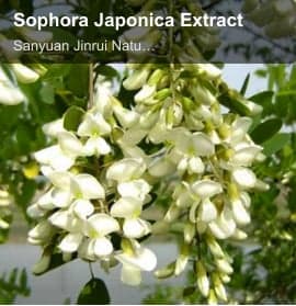 Sophora Japonica Extract