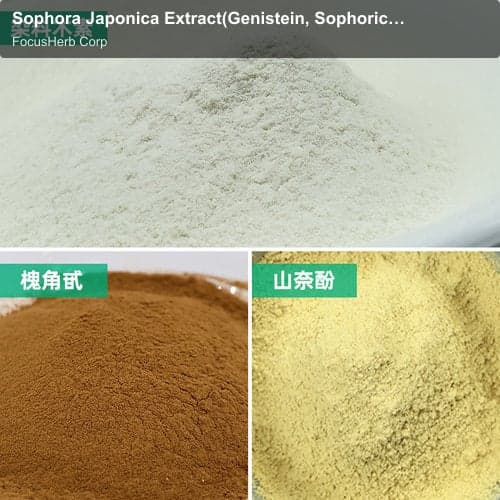 Sophora Japonica Extract(Genistein, Sophoricoside,Kaempferol)