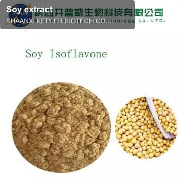 Soy extract