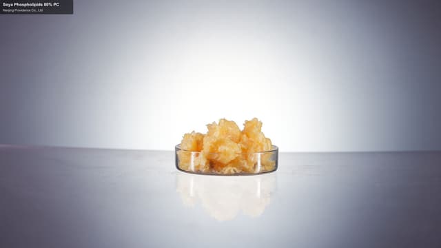 Soya Phospholipids 80% PC