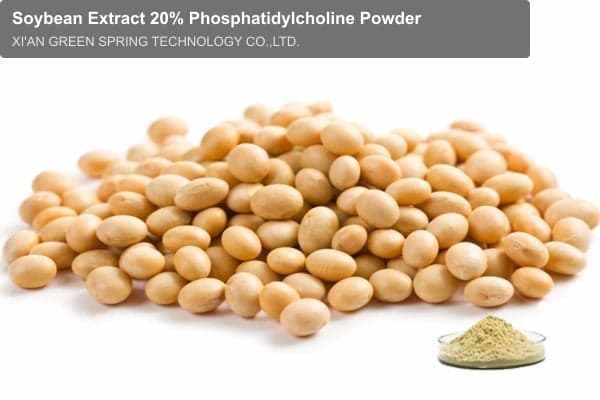 Soybean Extract 20% Phosphatidylcholine Powder