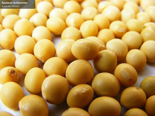 Soybean Isoflavones
