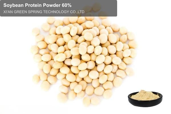 Soybean Protein Powder 60%