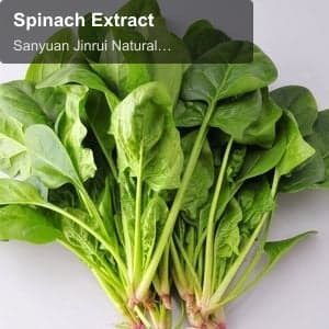 Spinach Extract
