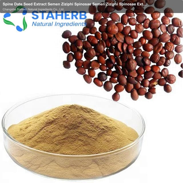 Spine Date Seed Extract Semen Ziziphi Spinosae Semen Ziziphi Spinosae Extract Jujuba Extract