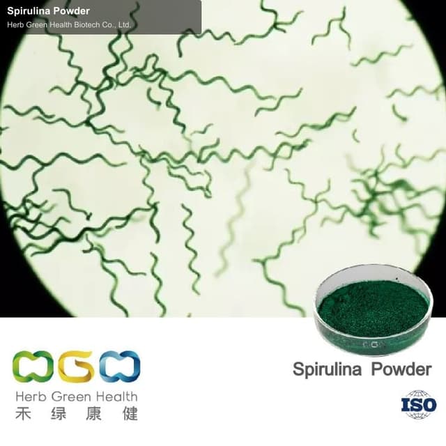Spirulina Powder