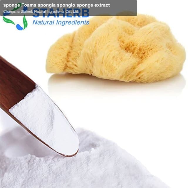 sponge Foams spongia spongio sponge extract