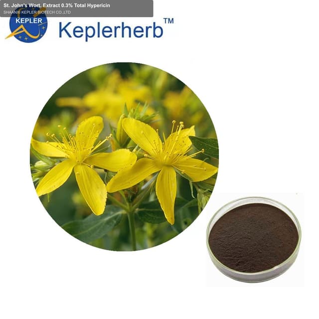 St. John’s Wort. Extract 0.3% Total Hypericin