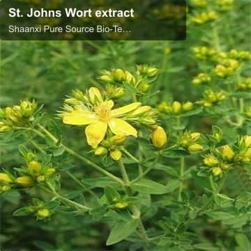 St. Johns Wort extract