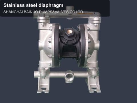 Stainless steel diaphragm