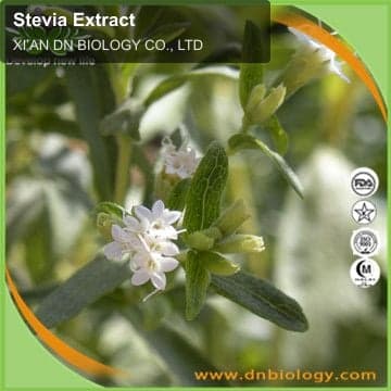 Stevia Extract