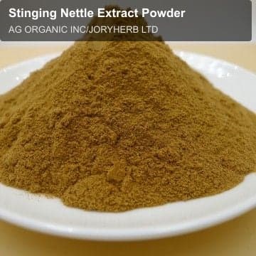 Stinging Nettle Extract Powder