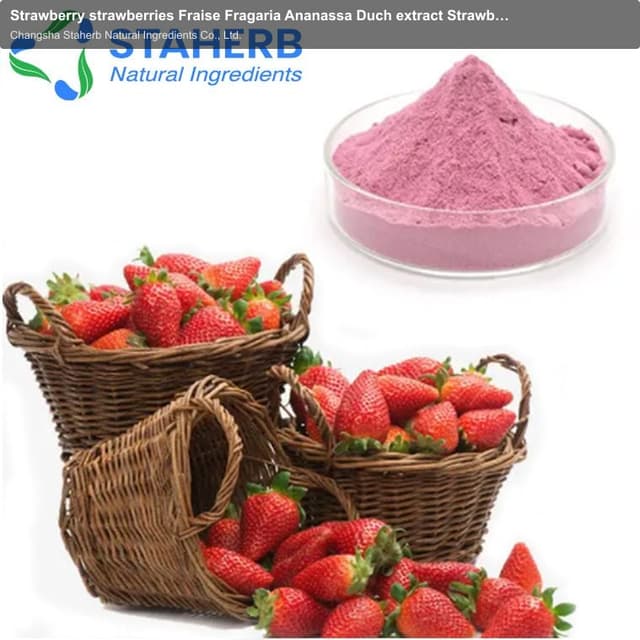 Strawberry strawberries Fraise Fragaria Ananassa Duch extract Strawberry strawberries Fraise Fragari