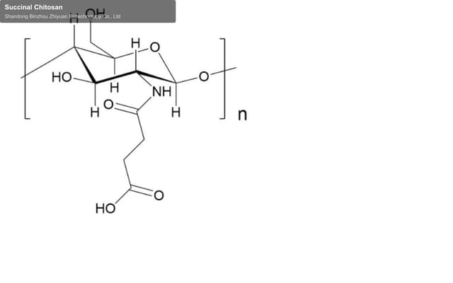 Succinal Chitosan