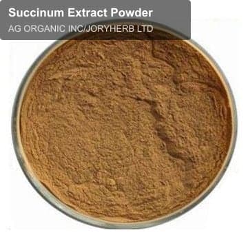 Succinum Extract Powder