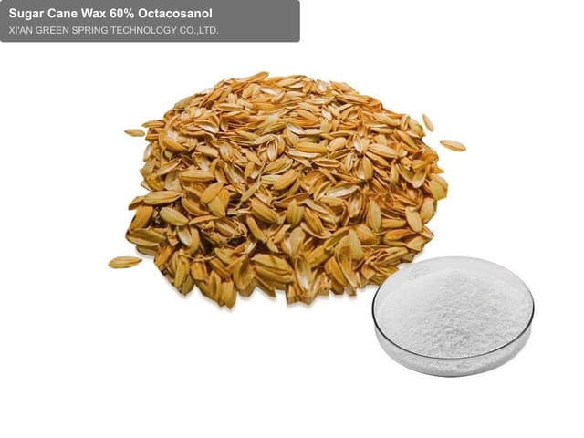 Sugar Cane Wax 60% Octacosanol