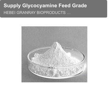 Supply Glycocyamine Feed Grade