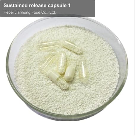 Sustained release capsule 1