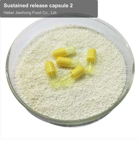 Sustained release capsule 2