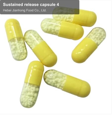 Sustained release capsule 4