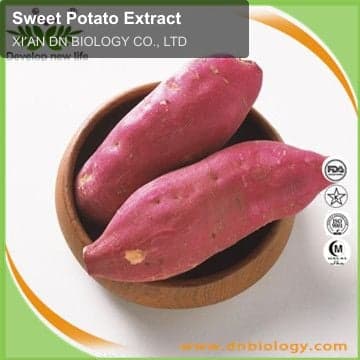 Sweet Potato Extract