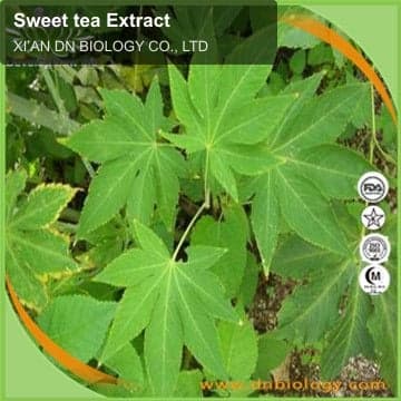 Sweet tea Extract