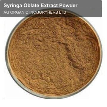 Syringa Oblate Extract Powder